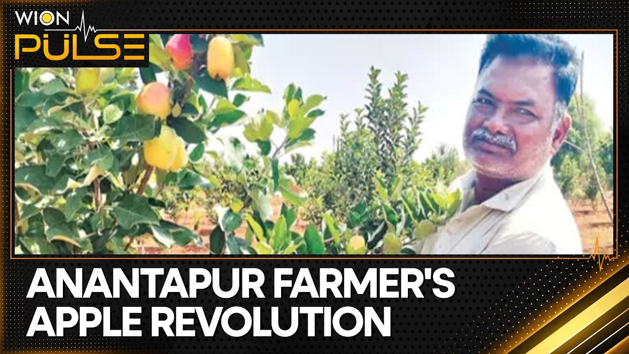 Andhra Farmer&rsquo;s Apple Revolution in Anantapur&rsquo;s Extreme 45&deg;C Heat Conditions | WION