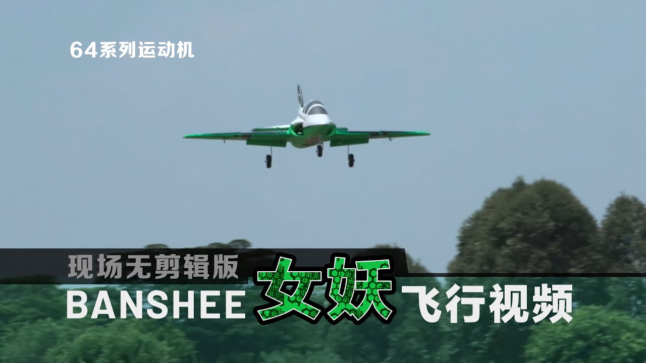 Freewing 64mm Banshee flight video - No clip