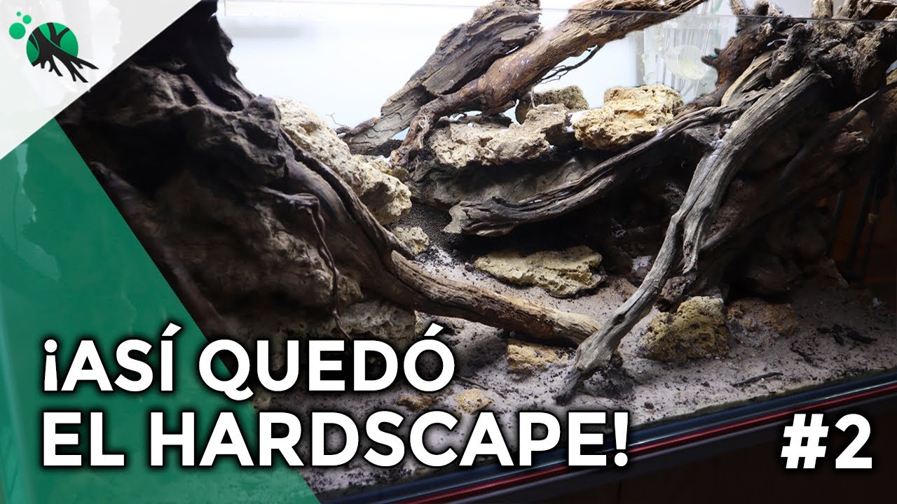MONTAR HARDSCAPE PASO A PASO - GUÍA MONTAJE ACUARIO DE PAISAJISMO PLANTADO O AQUASCAPING