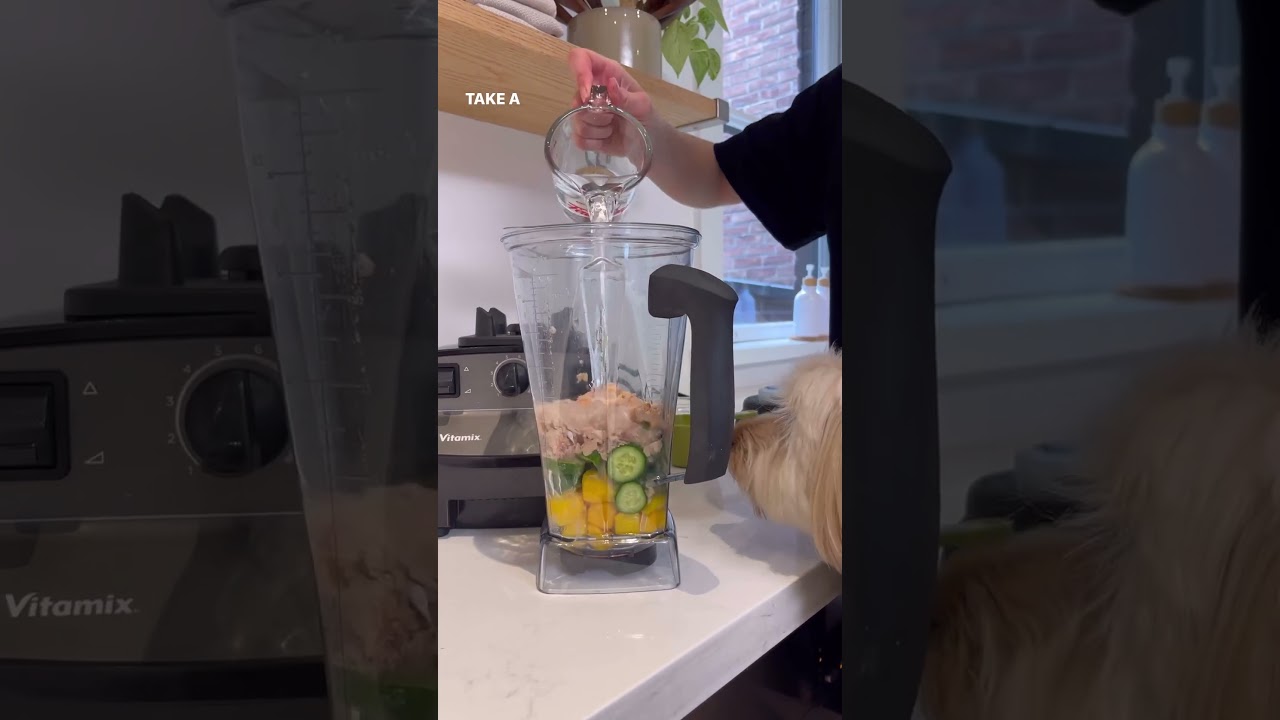 30 Days Of Homemade Dog Food Toppers For Only $0.25 A Day! 🥭