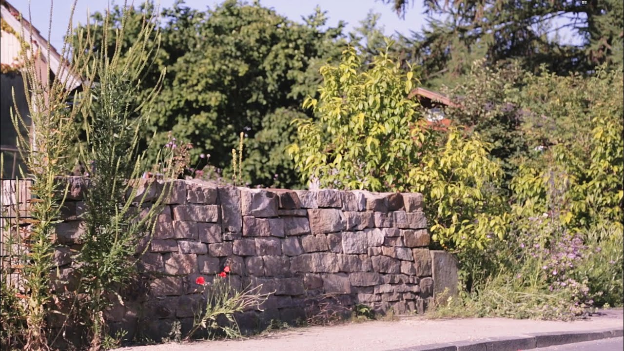 NaturGarten e.V. - Naturnaher Garten für Wildpflanzen und heimische Tiere