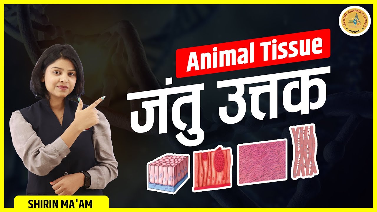 Animal Tissue जंतु उत्तक | PATWARI SCIENCE CLASSES | PATWARI SCIENCE ONLINE CLASSES|PATWARI SCIENCE
