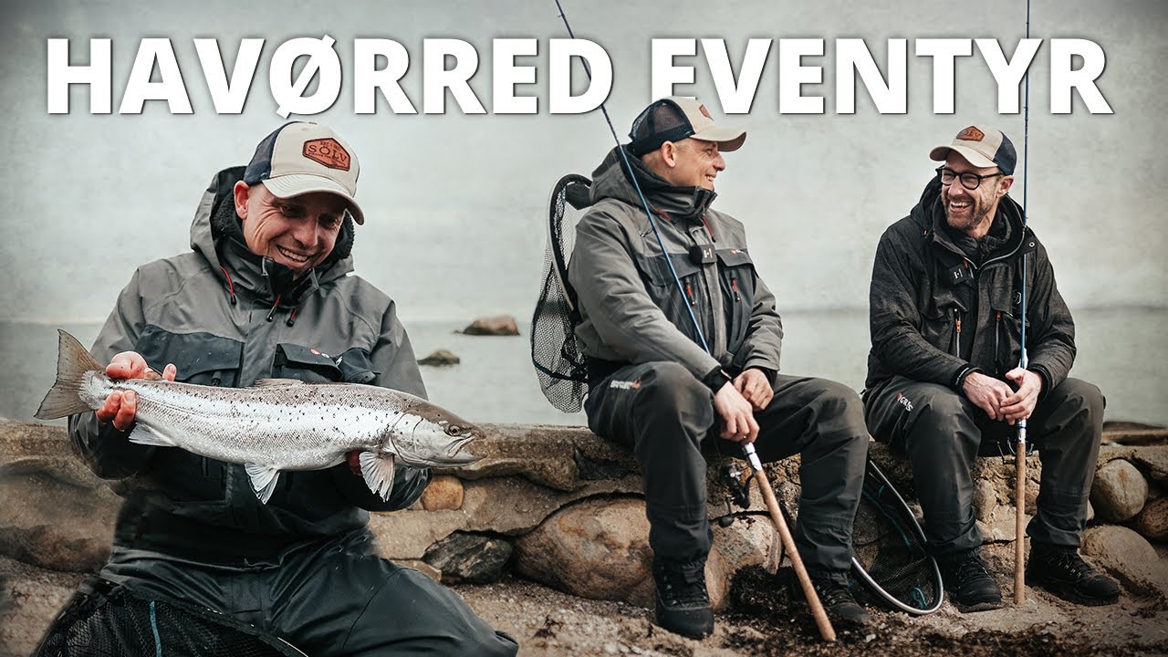 VILDT Havørred Eventyr I Sverige Og Danmark (Med Team Sölv)