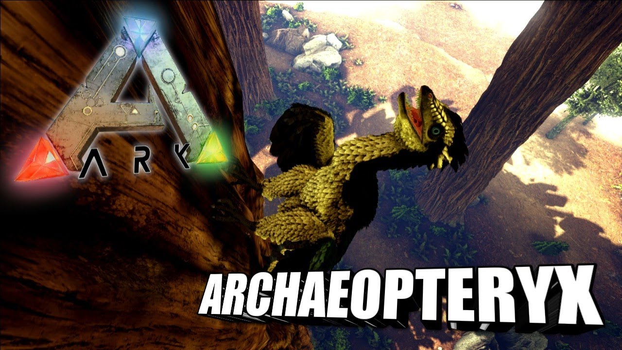 Taming A Archaeopteryx | Ark Survival Evolved | The Island