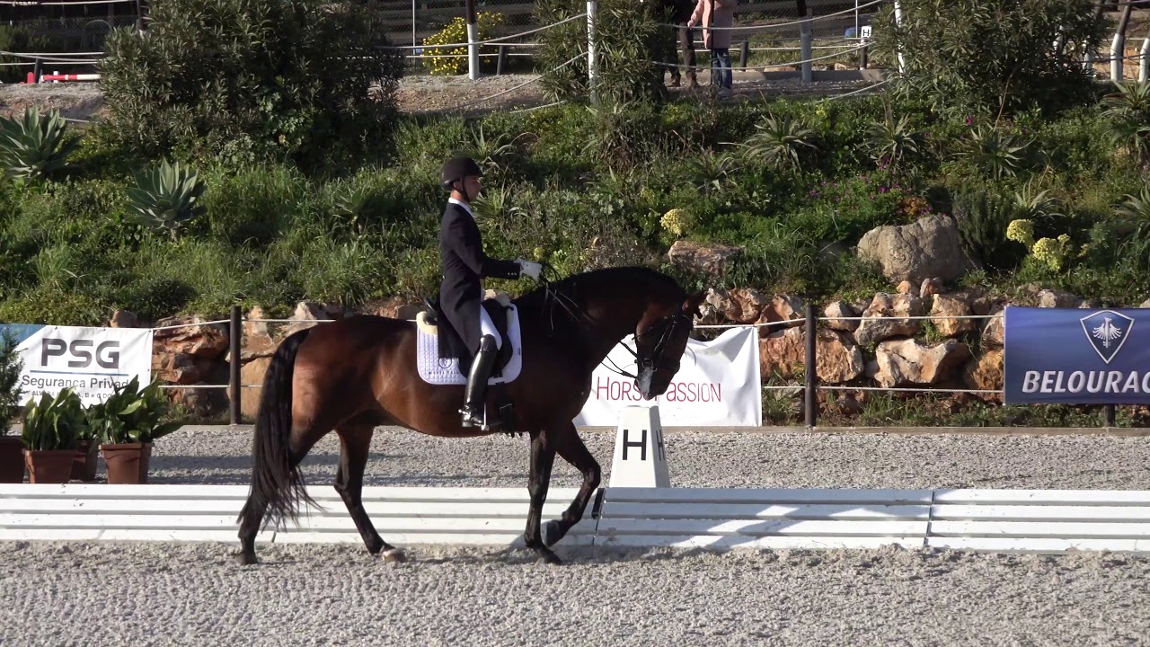 2020-03-06 - João Torrão e Equador - CDI3* Cascais - Grand Prix 74.98%