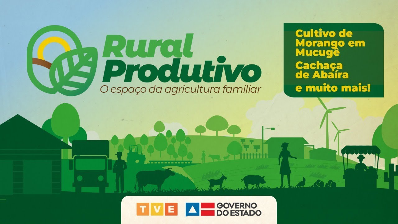 MORANGO, CACHAÇA E ARTESANATO DA CHAPADA DIAMANTINA NO RURAL PRODUTIVO