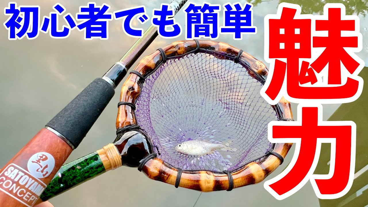 【タナゴ釣り】初心者でも簡単に入れ食い！子供も楽しめる！