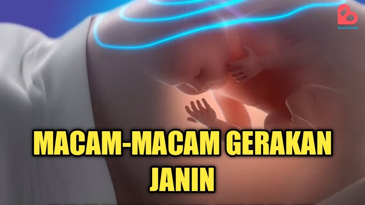 Jenis Gerakan Janin di Dalam Kandungan yang Bisa Dirasakan Ibu Hamil