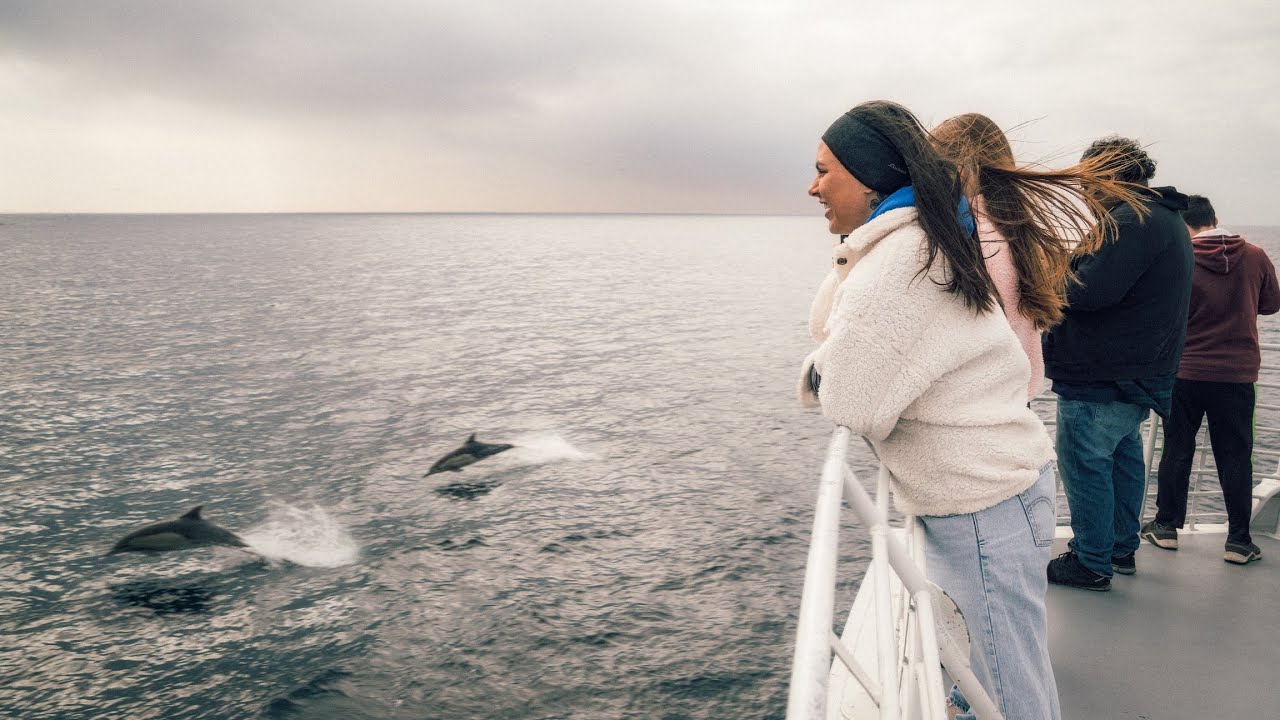 We went whale watching but didn’t see whales.