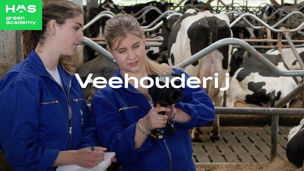 Veehouderij - hbo-opleiding HAS green academy