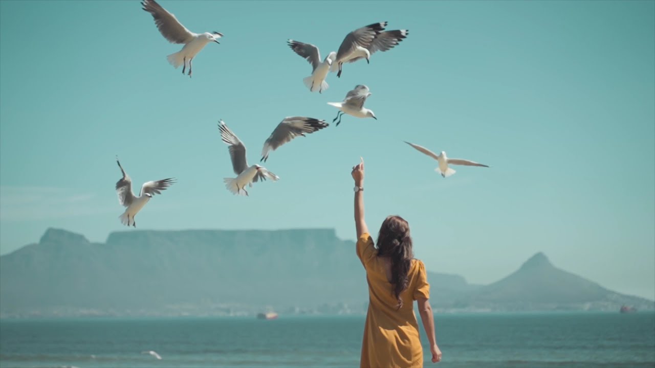 Xad - Birds (Stavros Music Selection)