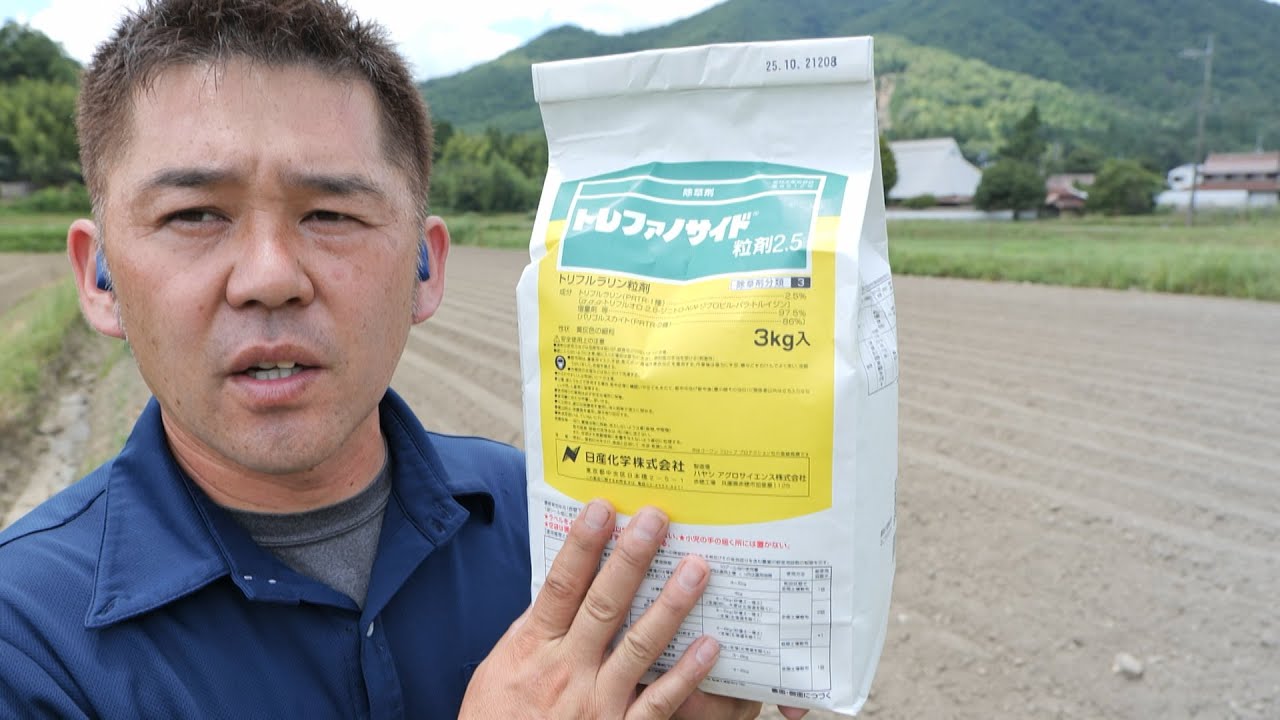 ブロッコリー圃場に除草剤散布21/8/7#1284