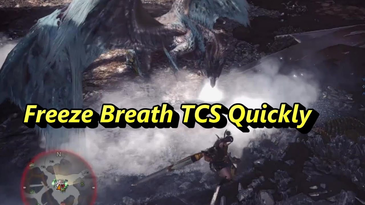 歴戦王イヴェルカーナ 大剣 TA Wiki Rules 早当て凍結ブレス真溜 / AT Velkhana GS TA Rules Freez Breath TCS Quickly
