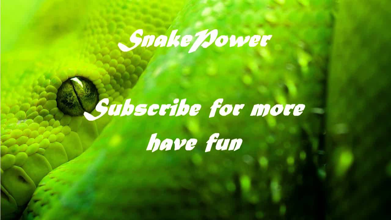 SnakePower.Sound