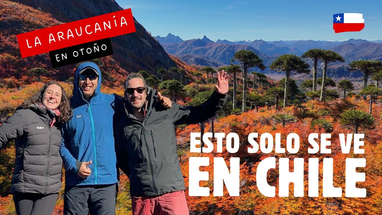 GUÍA LOCAL nos muestra LO MEJOR de todo CHILE 😱 #araucania | EP65