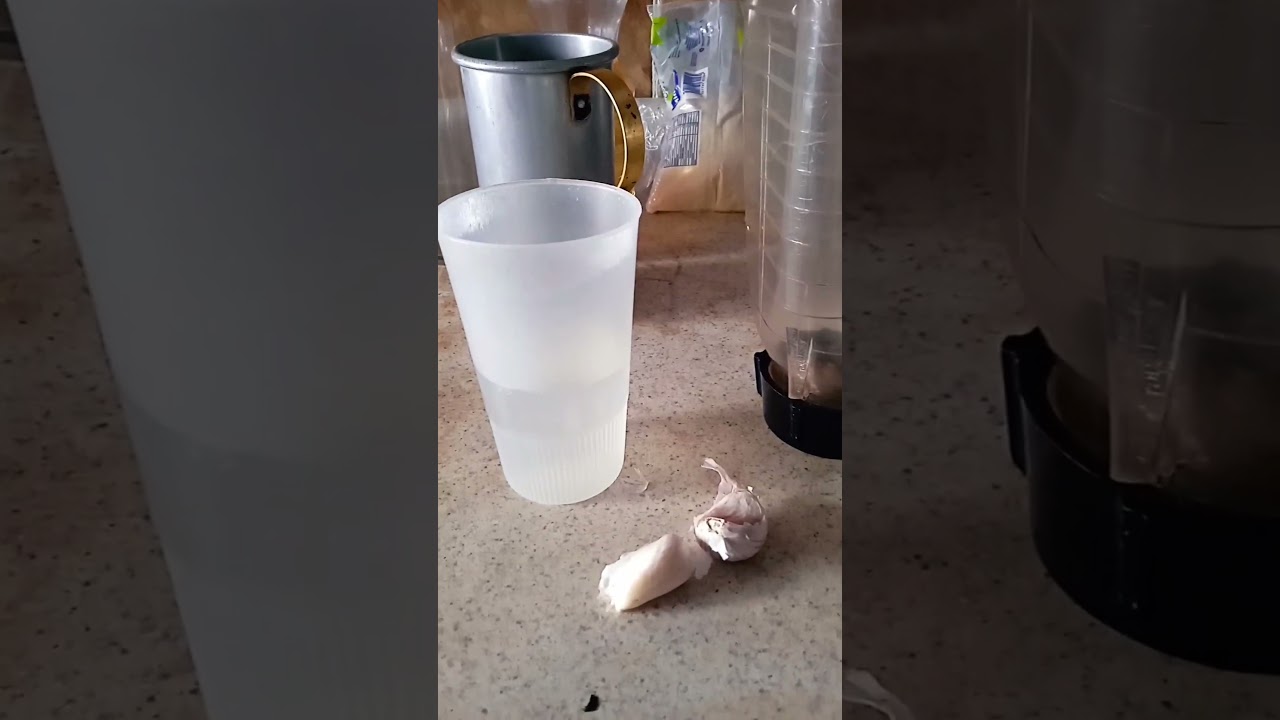 Cura para el Parvovirus canino, el ajo es el mejor remedio que existe.