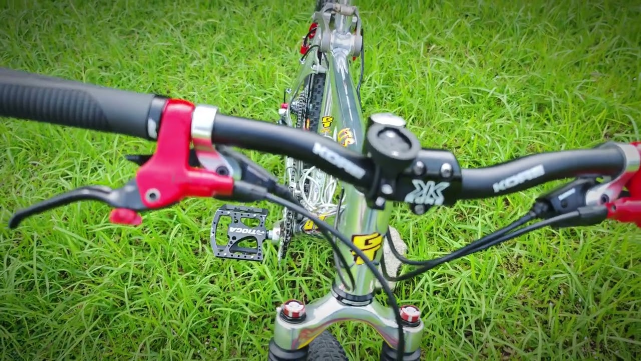 GT LTS 1995/96 Magura HS33 Rockshox Judy SL DH XT M739 Vintage DH Downhill