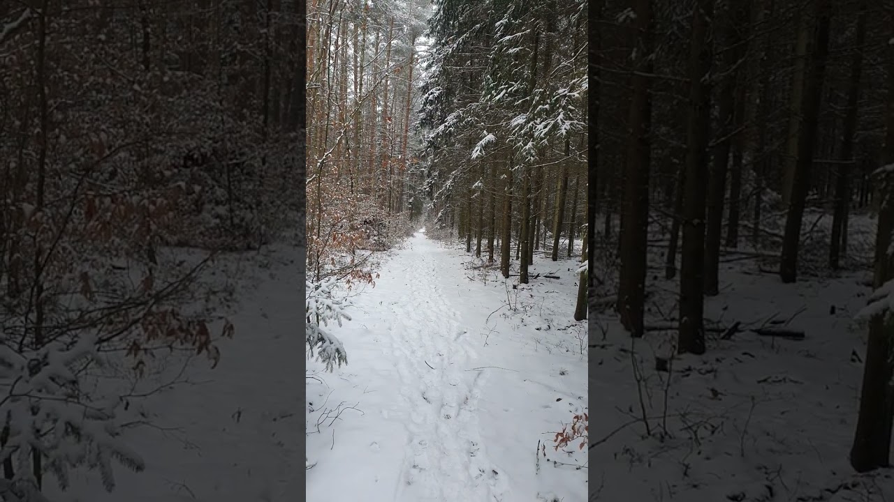 Obejmi své stíny, patří k tobě 