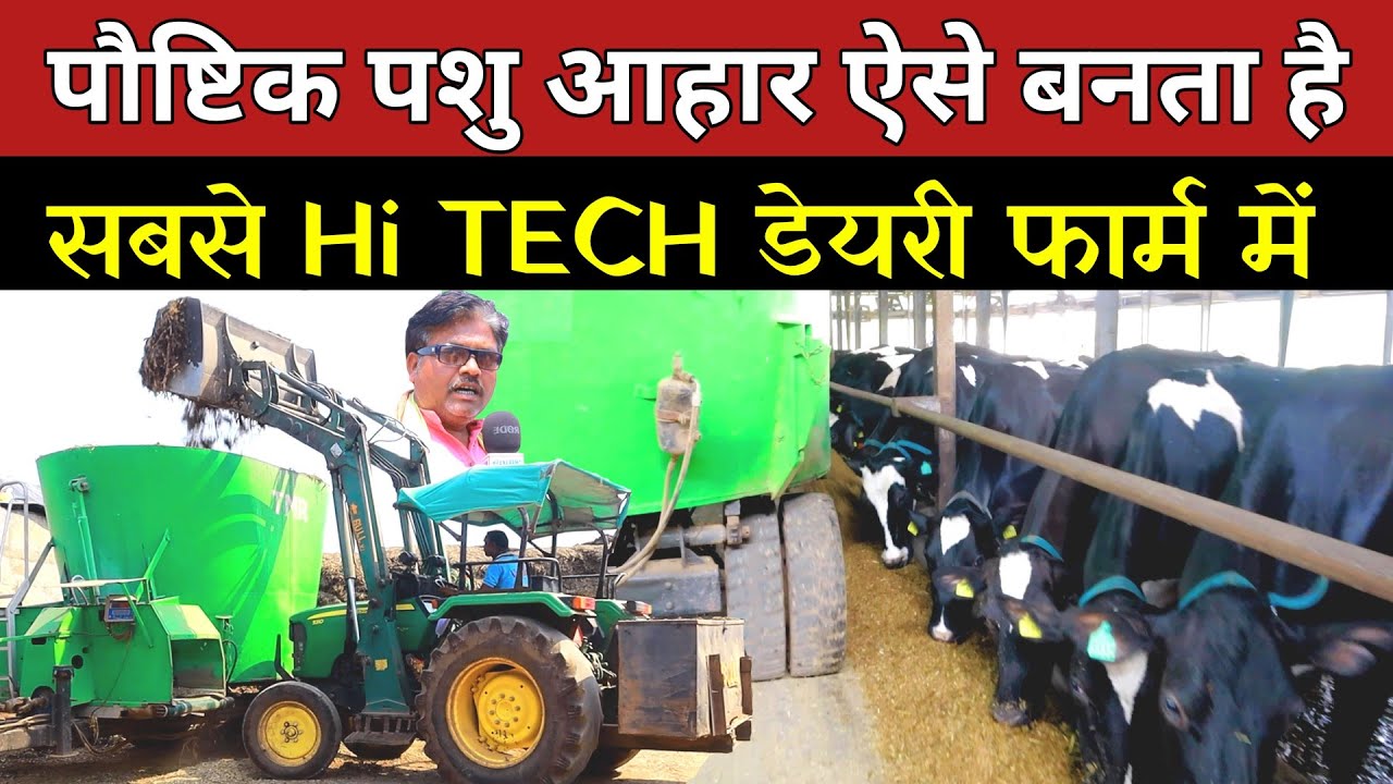 पौष्टिक संतुलित पशुआहार ऐसे बनता है सबसे HI TECh DAIRY में ।। Balanced feed Making For  Dairy Farm