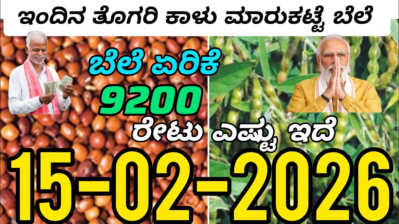 ತೊಗರಿ ಕಾಳು ಮಾರುಕಟ್ಟೆ ಬೆಲೆ  15-02-2026 #todaymarket #agriculture #togari  #oninratetoday 