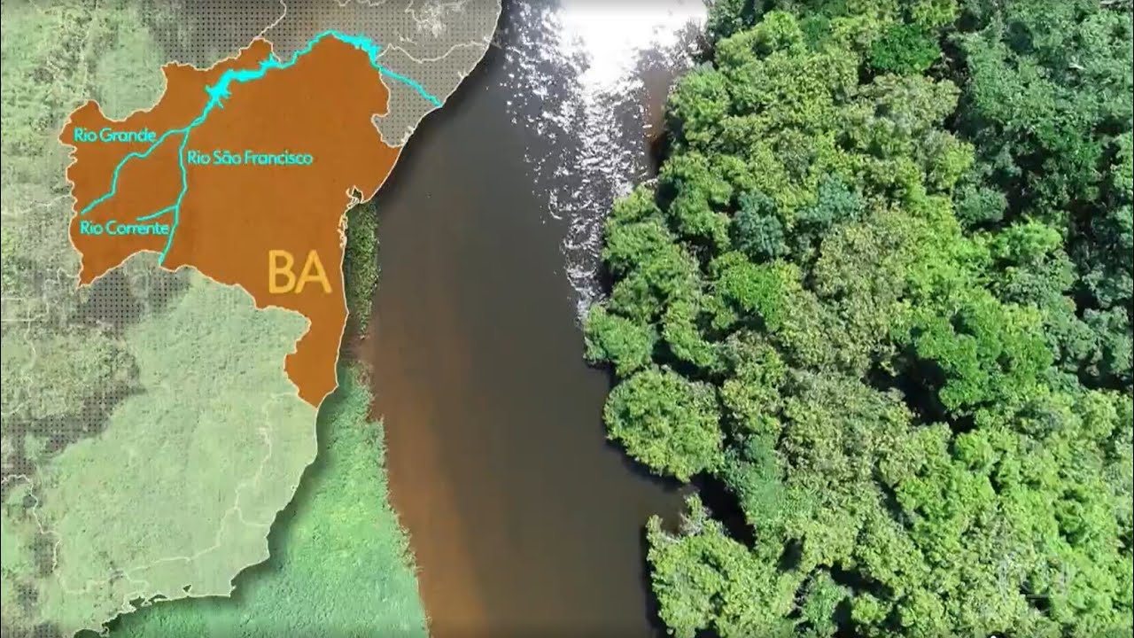 TV Globo - Programa Globo Rural: 