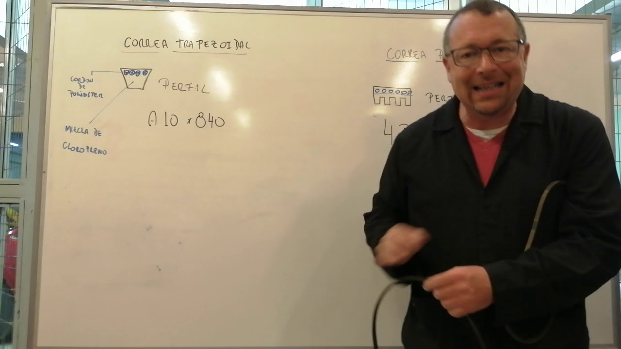 Mantenimiento del Alternador. 1 Correas de mando