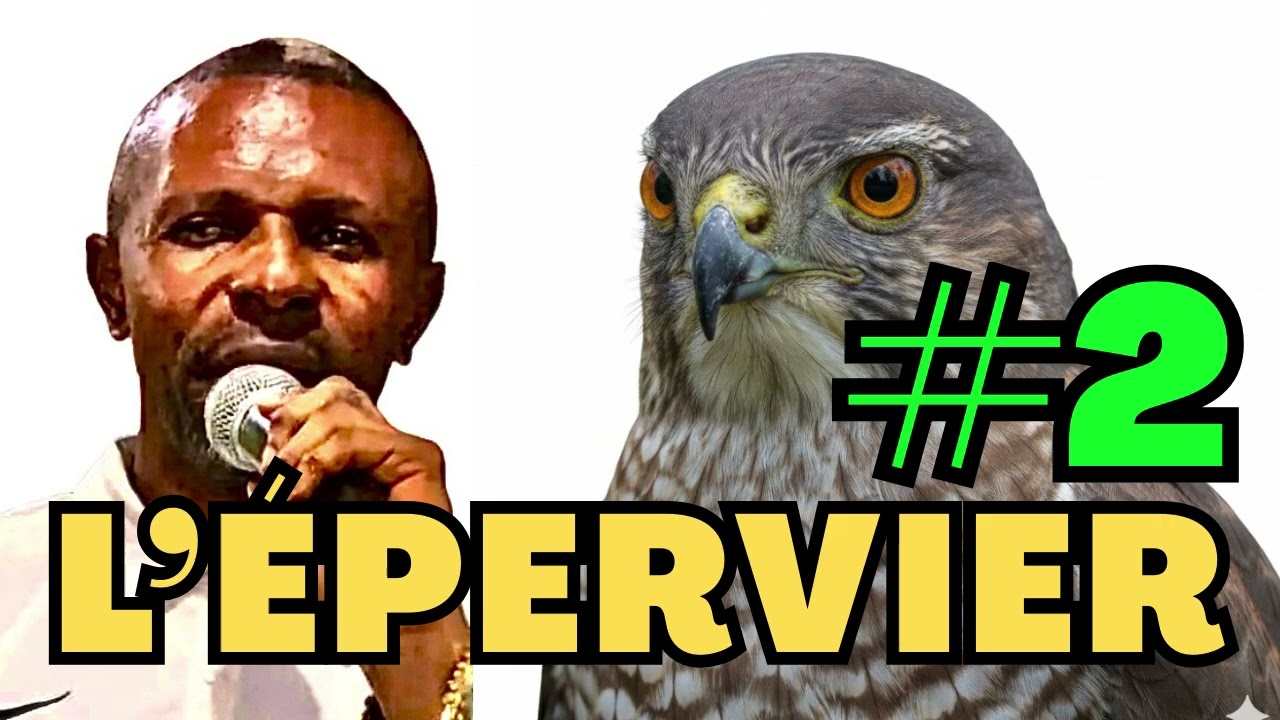 L’ÉPERVIER #2 par le Prophète Jean-Bosco Mbombi