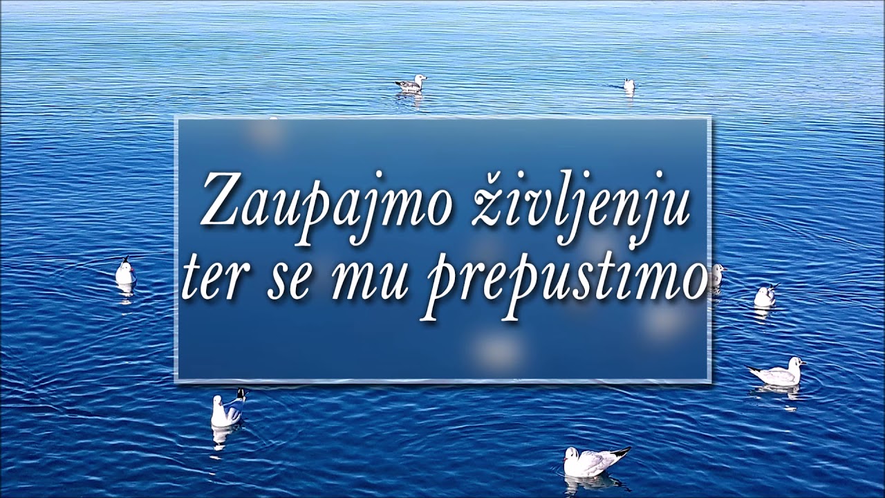 VODENA MEDITACIJA: Zaupajmo življenju ter se mu popolnoma prepustimo.  Varni smo, vse je v redu.
