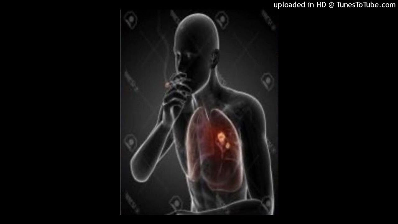 (free) xaviersobased + ksuuvi type beat