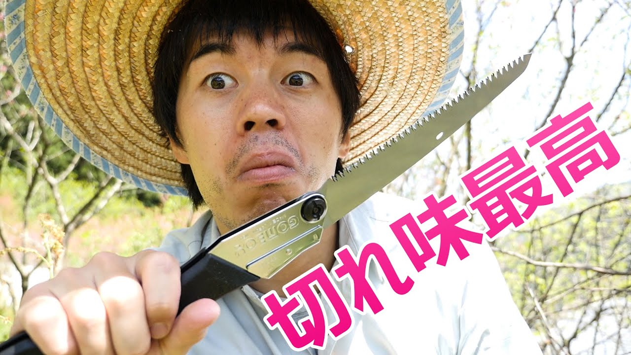 評価の高い折りたたみノコギリがキター！