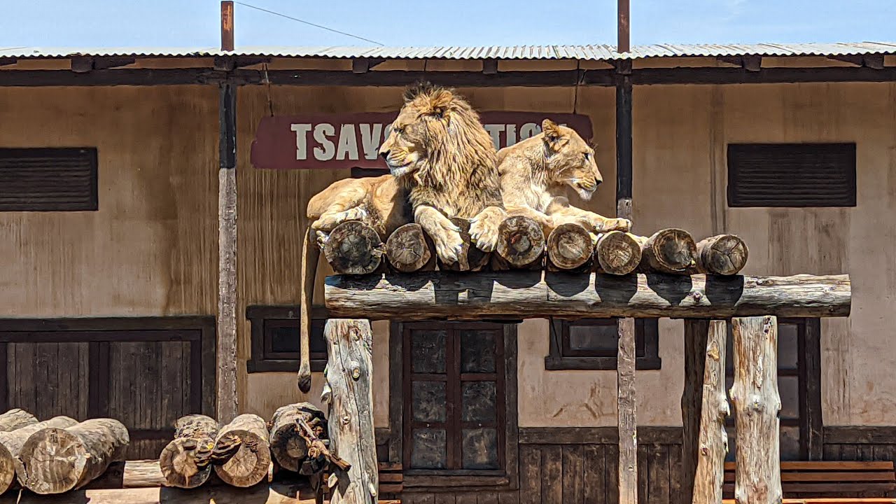 ZOO TERRA NATURA | MURCIA 2022