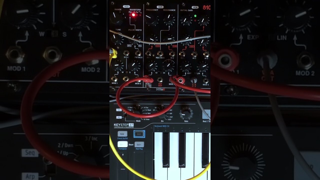 Auza Wave Packets w/ System80 880 and 810 #repeateater #eurorack #synth #acid #electro #shorts