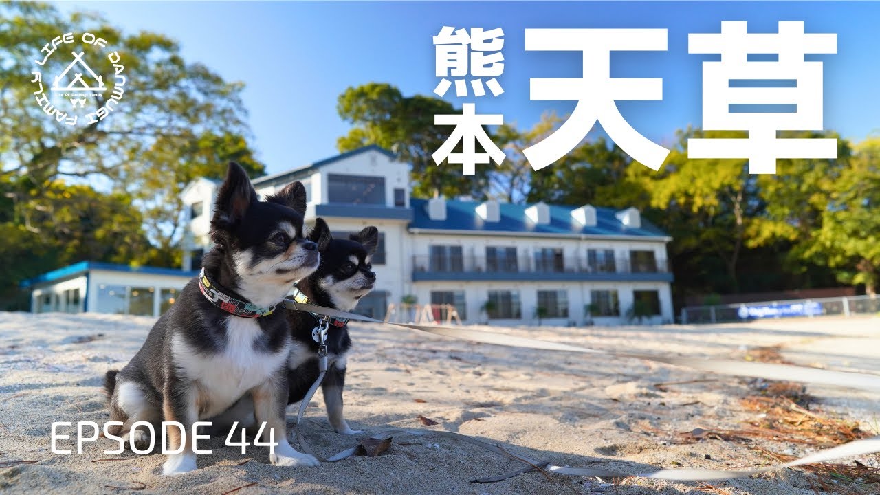 天草の楽園でのんびりリフレッシュ！犬と過ごす至福のひと時【ブレインズ天草】