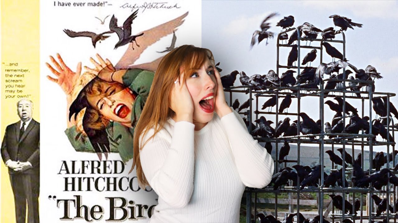SECRETS DE TOURNAGE - LES OISEAUX