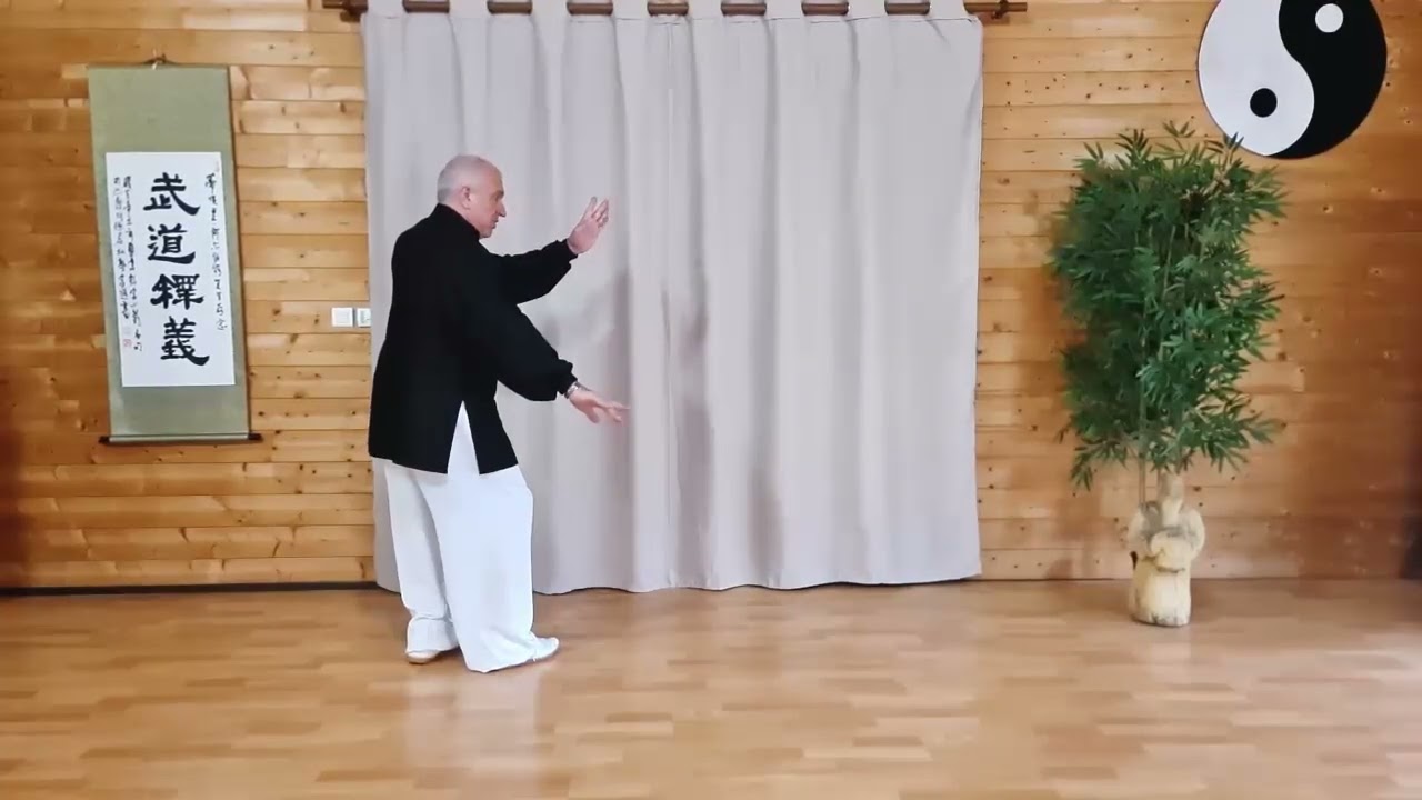 Bagua Zhang 64 paumes linéaires Trigramme Feu 4ème paume 