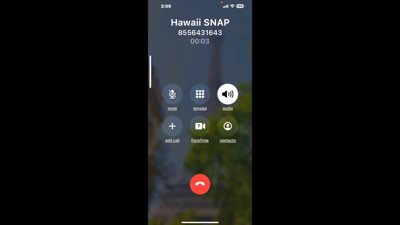 Hawaii DHS SNAP How to Prepare for Your Phone Interview Complete Guide