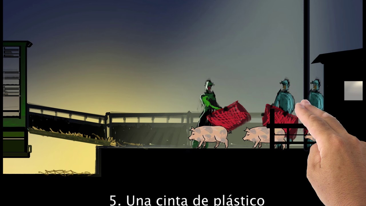 Buenas y mejores prácticas en el transporte de cerdos