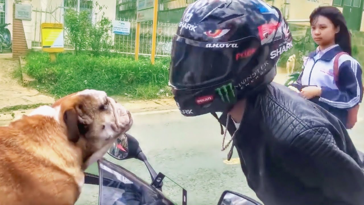 FUNNY, CRAZY & WEIRD THINGS BIKERS SEE, SAY & DO!