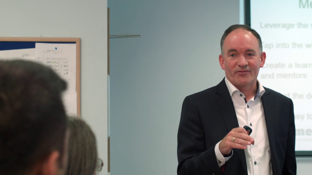 bizmentors - an overview of the Mentoring Process