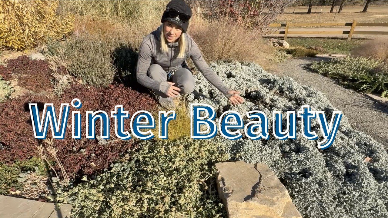 Boost Your Garden's Winter Interest