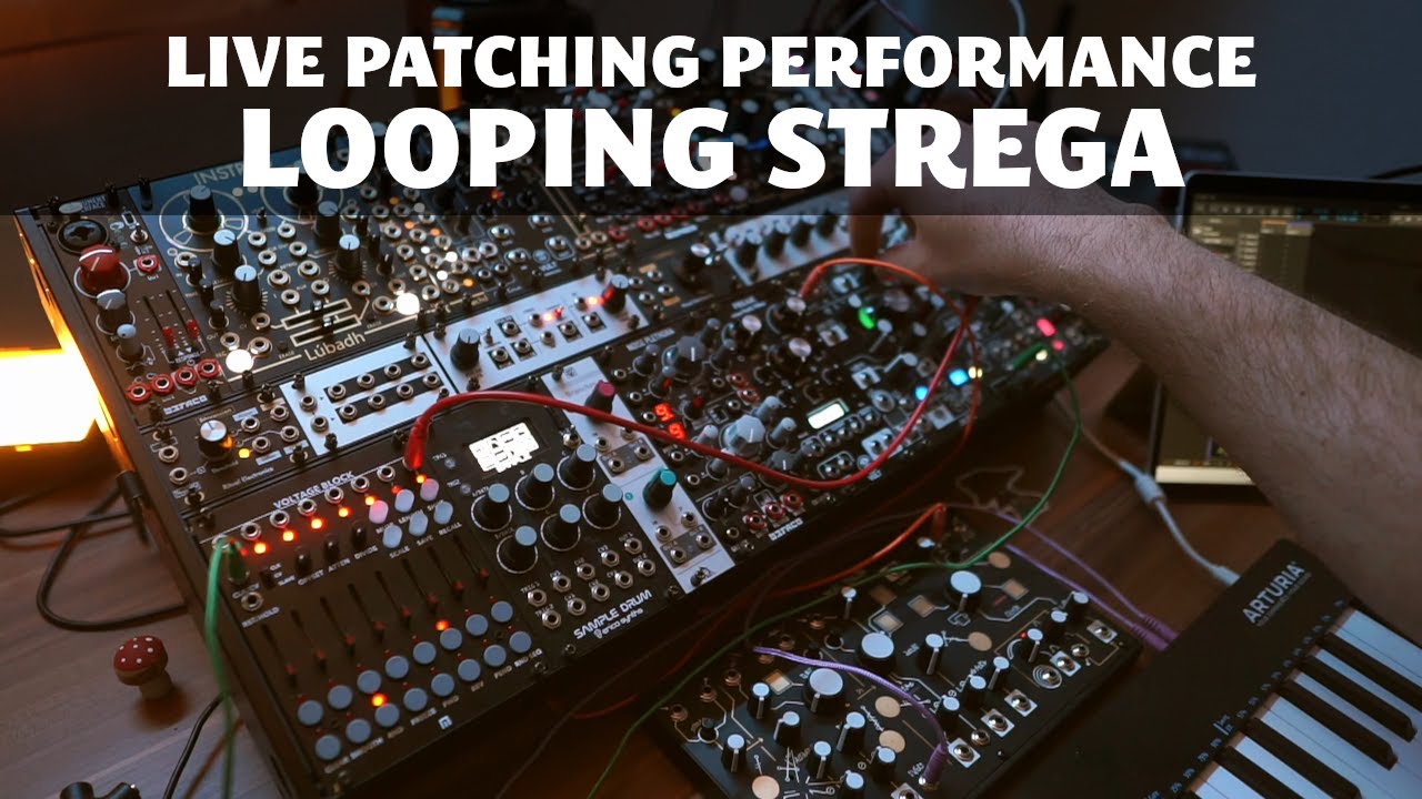 Live Patching Performance Looping with Strega || Mimeophon | Morphagene | Arbhar | Lubadh