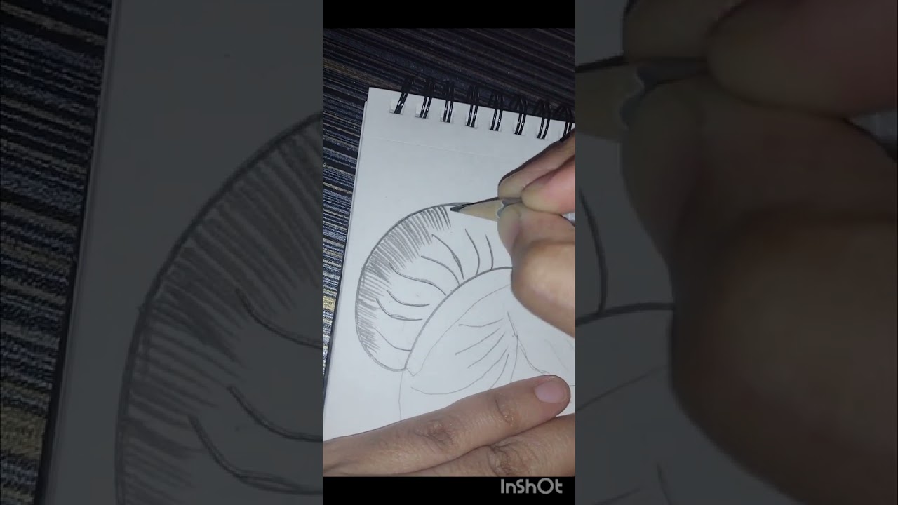 Making sketch of Cinderella 's Dreamy Gaze 