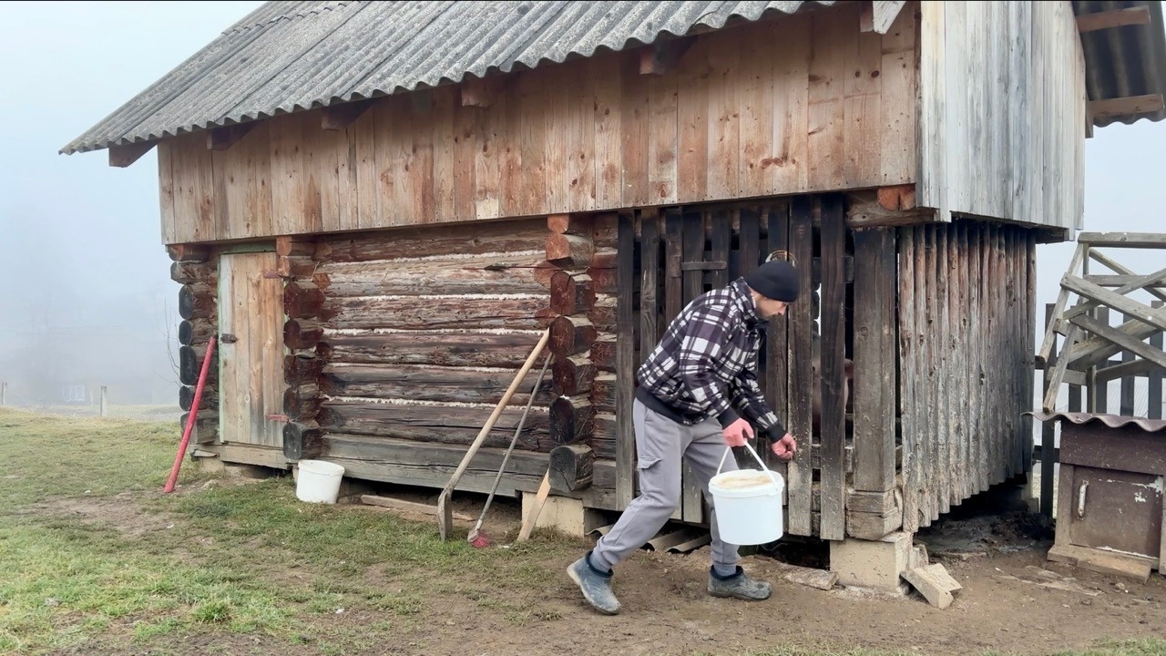 Life in the Carpathians|One magical winter day, pre-holiday routine, cooking together