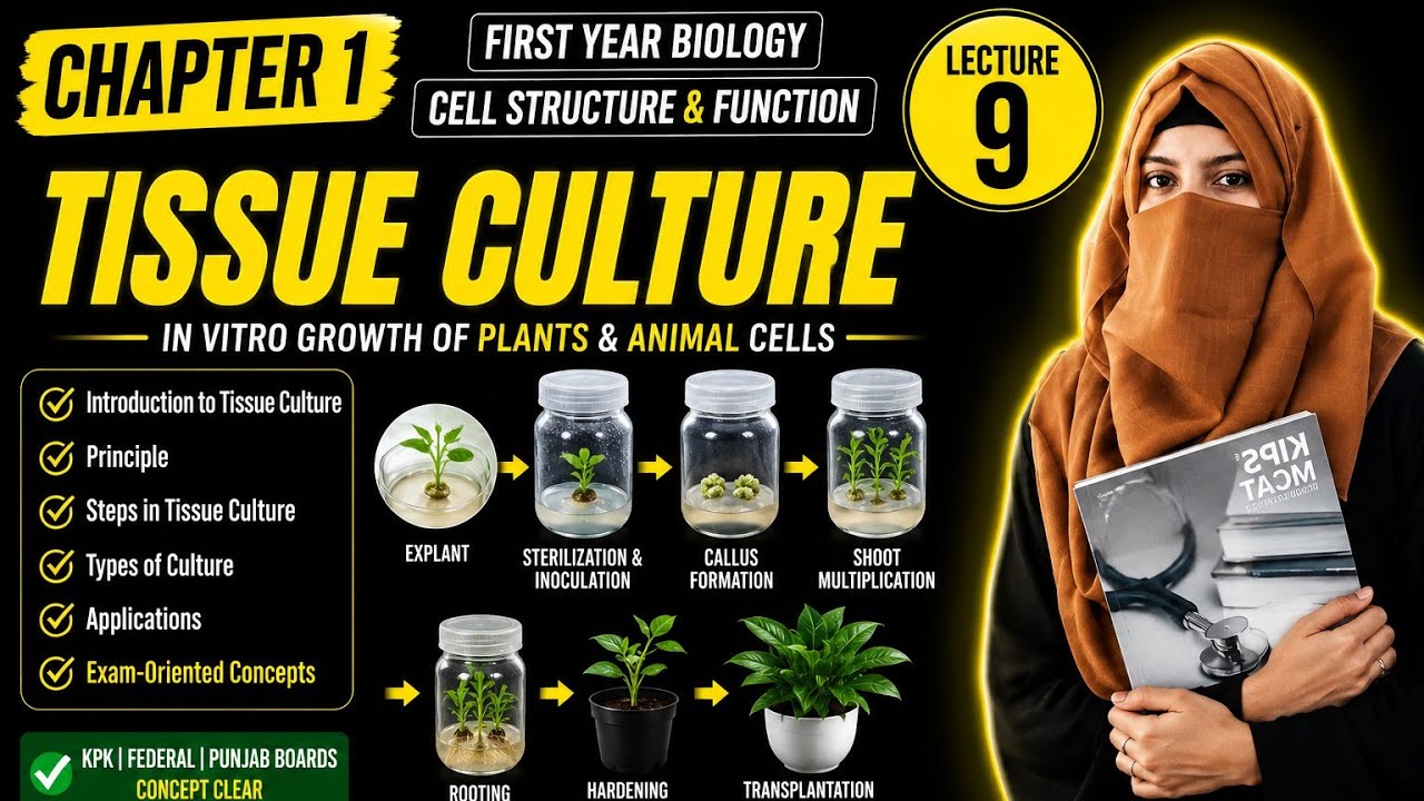 Tissue Culture |Technique Used In Cell Biology | KPK + Federal |class 11
