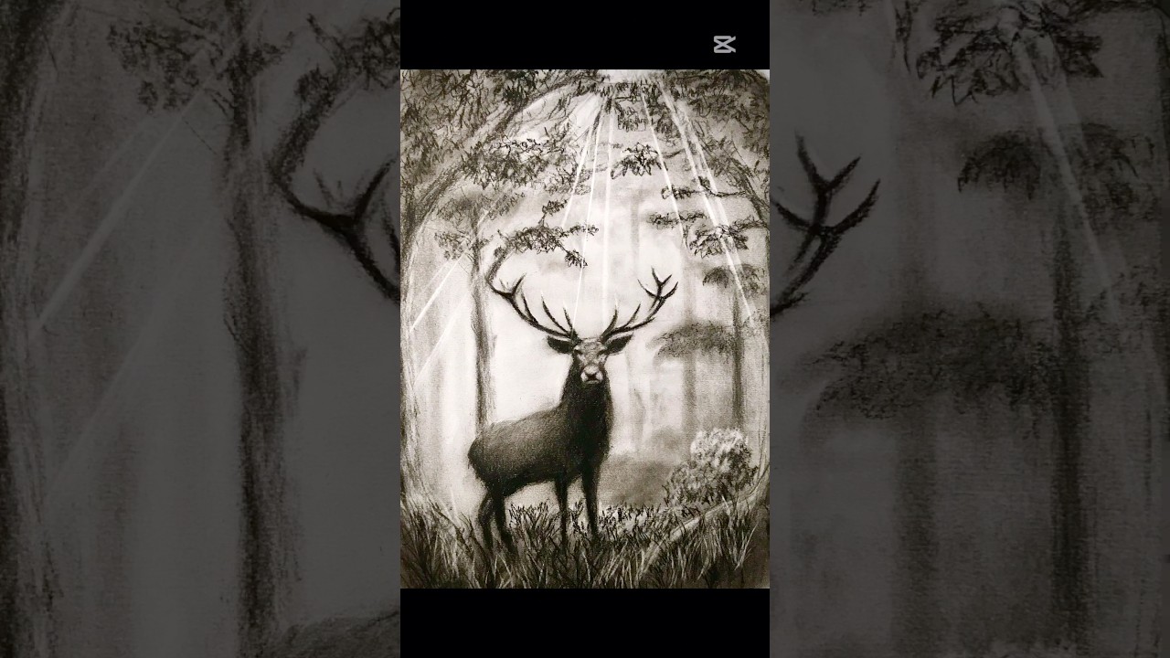 ⚫️&rdquo;Coal And Forest&rdquo; Charcoal drawing #charcoaldrawing