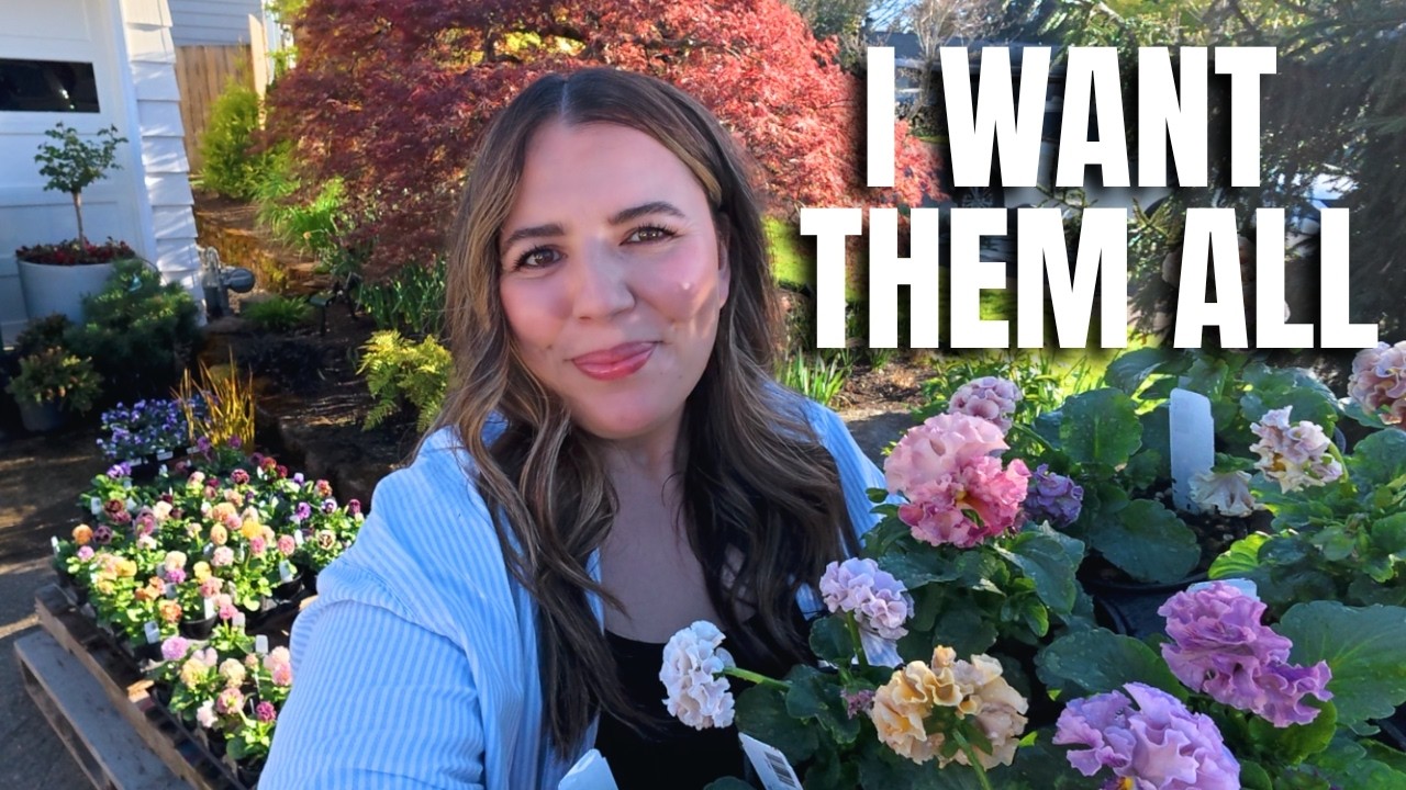English Garden Update 🌿 Japanese Pansy Haul + Potting Beautiful Plants