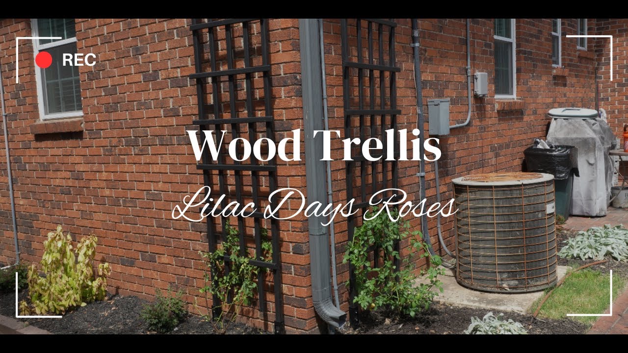Easy DIY Wood Trellis for Lilac Days rose to climb