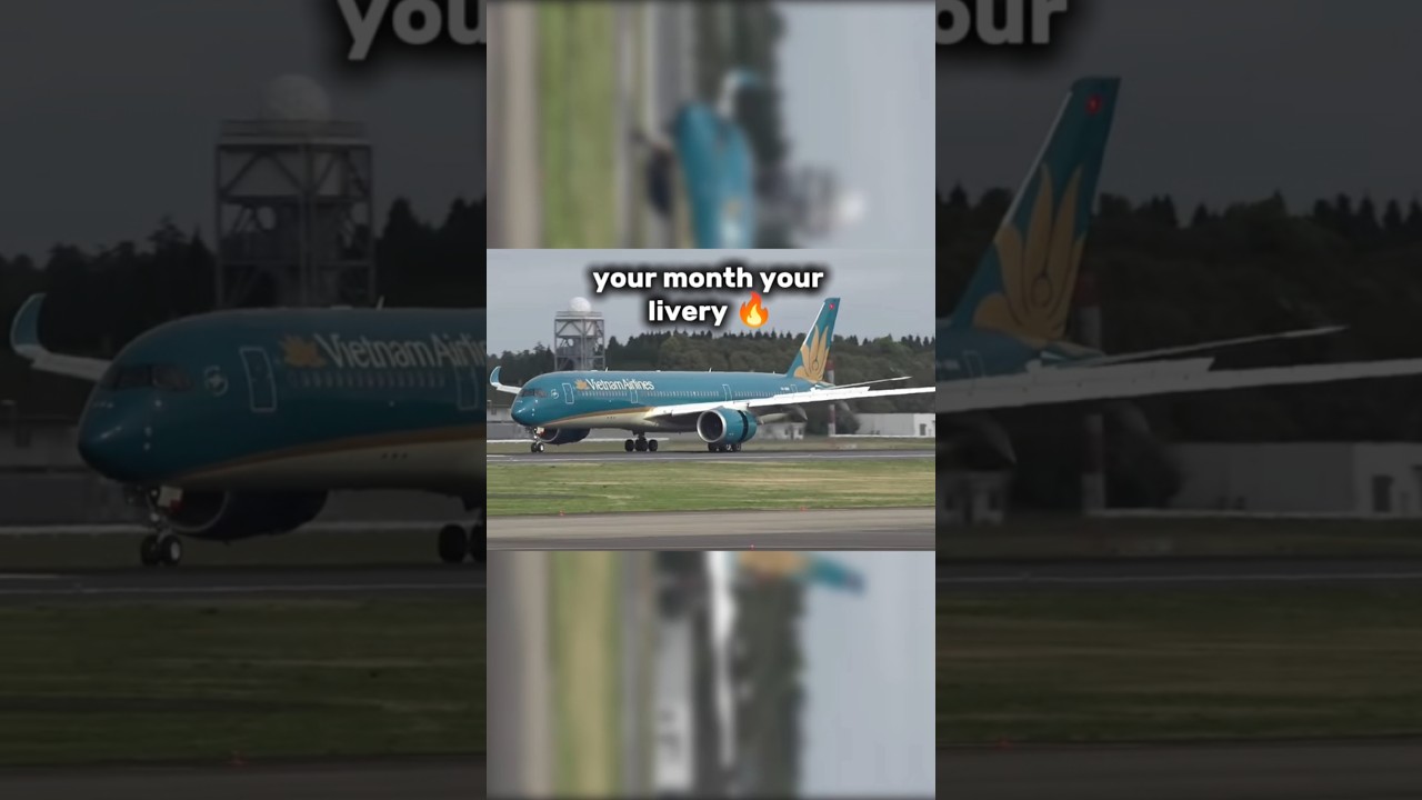 Your month your livery 🔥 #livery #special #speciallivery #aviation #avgeek #month #aircraft #fypage