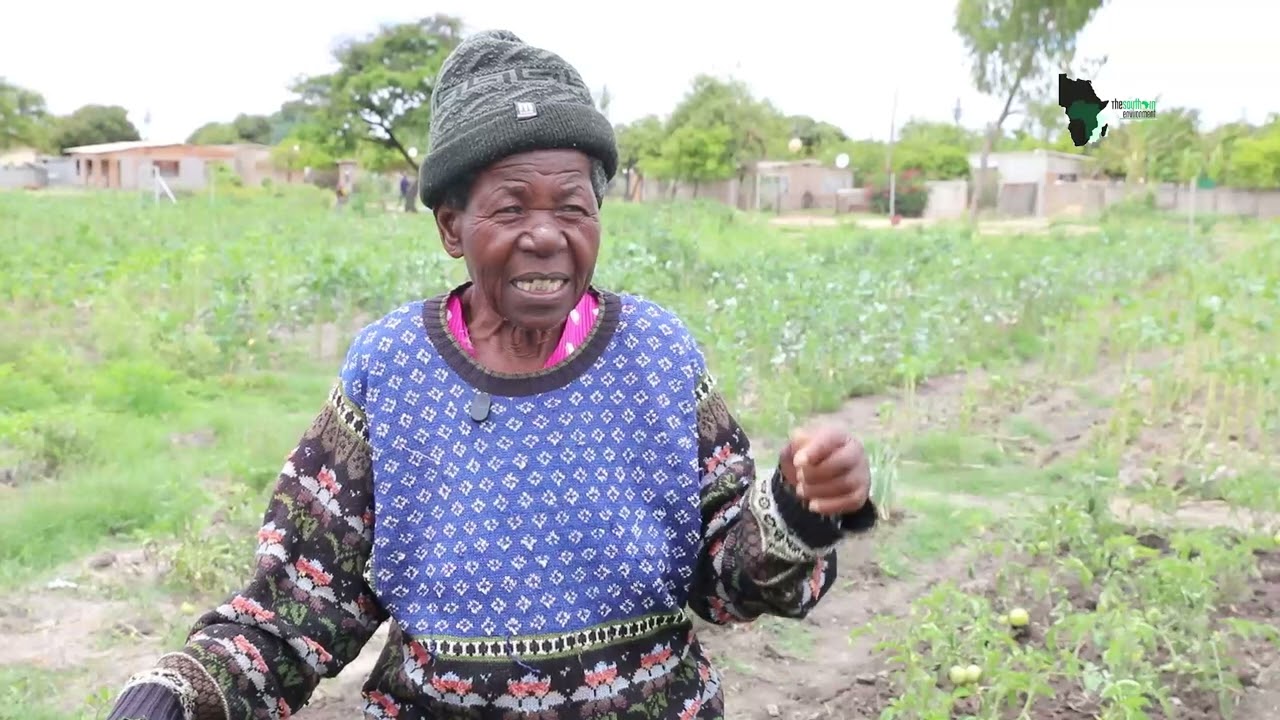 Matebeleland Elderly Women Story of Hunger, Hope and Resilience