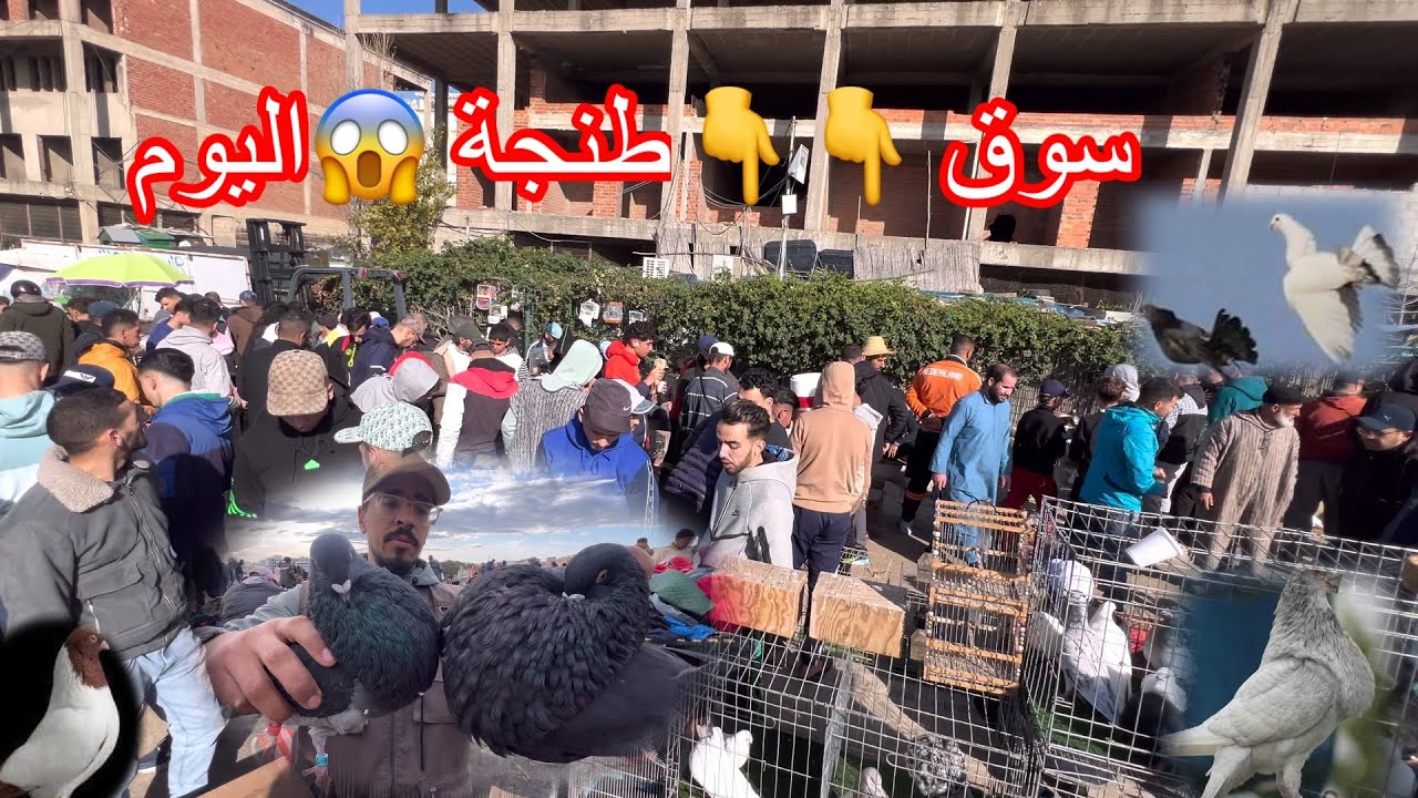 سوق-#حمام🤌في الأسبوع الرمضاني اليوم😱سوق عمر❓بجميع لاراس ديال حمام دراري👍🏻جيم وتعاليق❤️باش ولاعة طلع